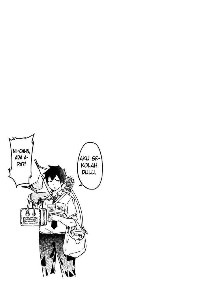 Panel 11
