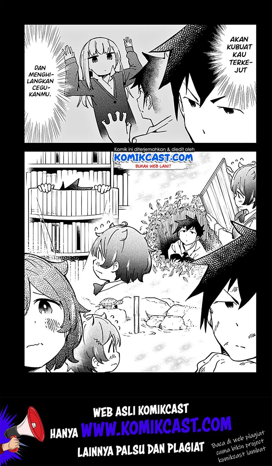 Panel 11