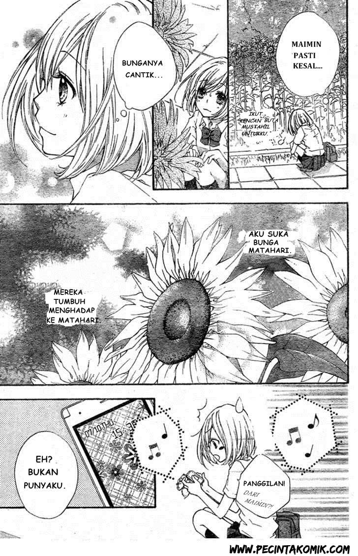 Panel 7
