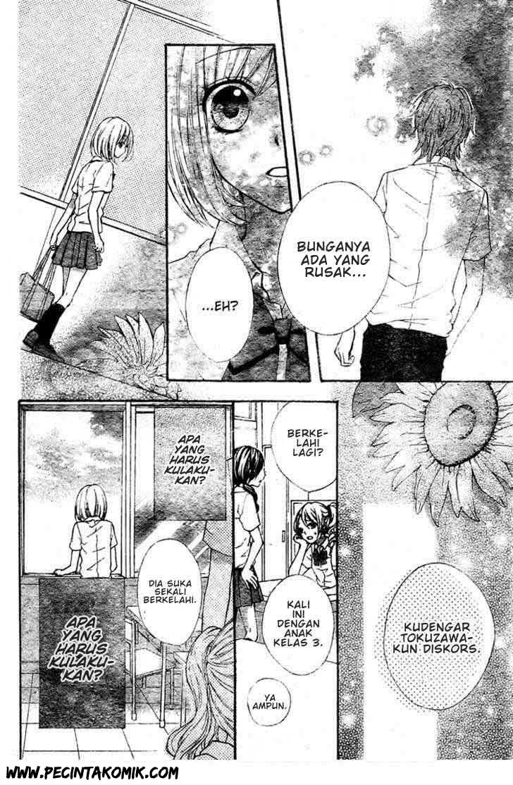 Panel 32