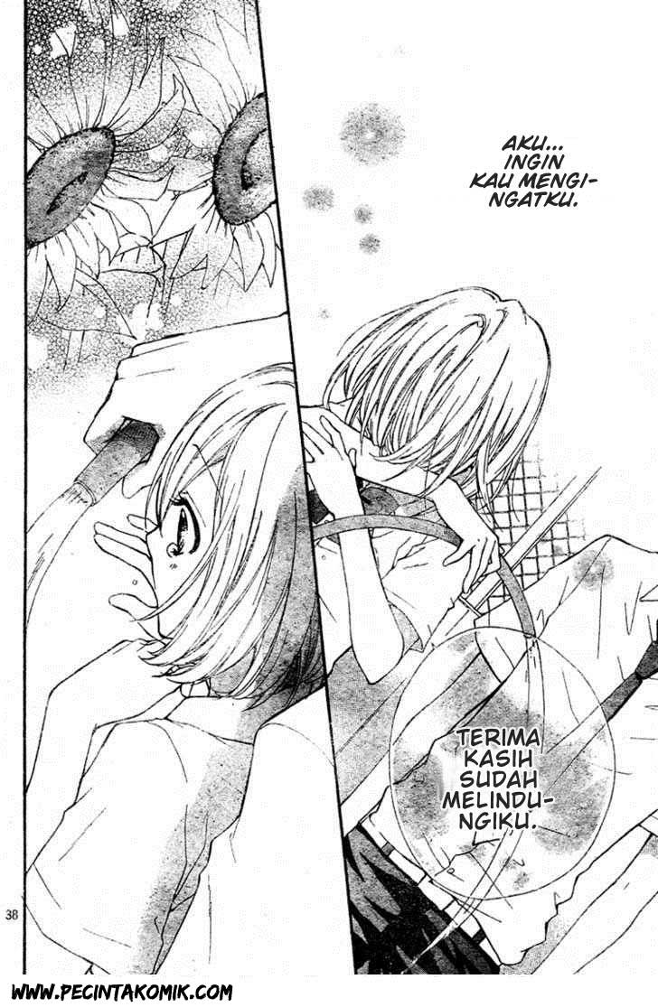Panel 40