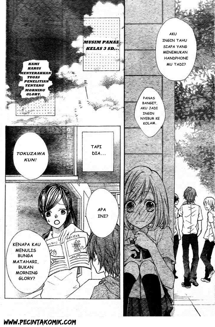 Panel 12