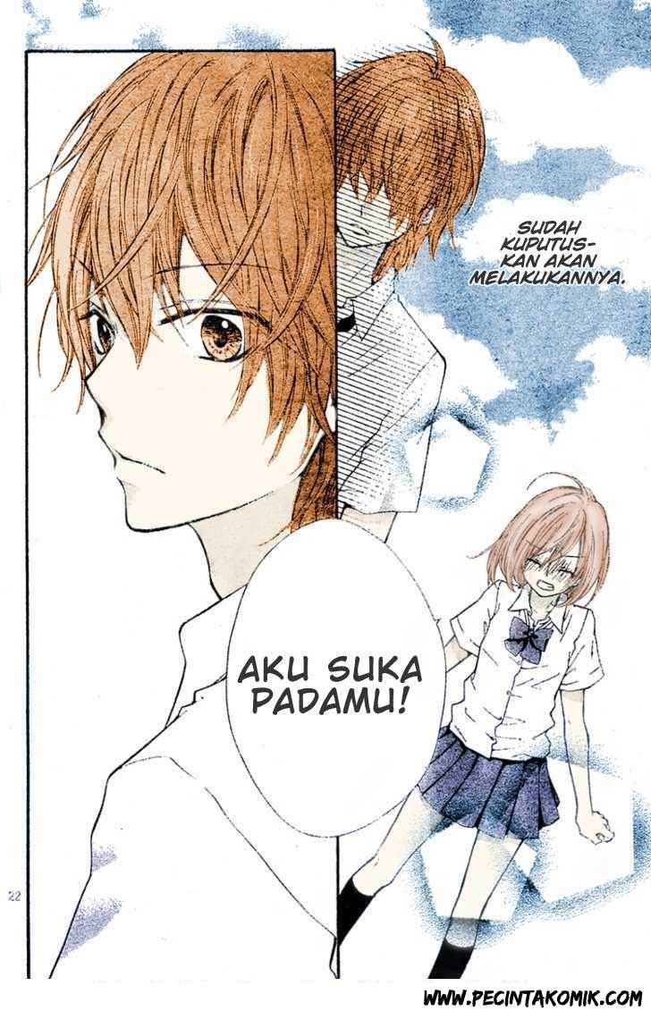Panel 23
