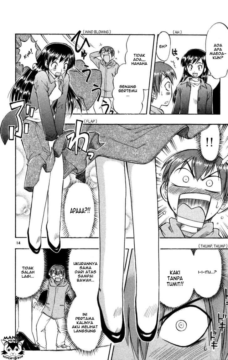 Panel 19