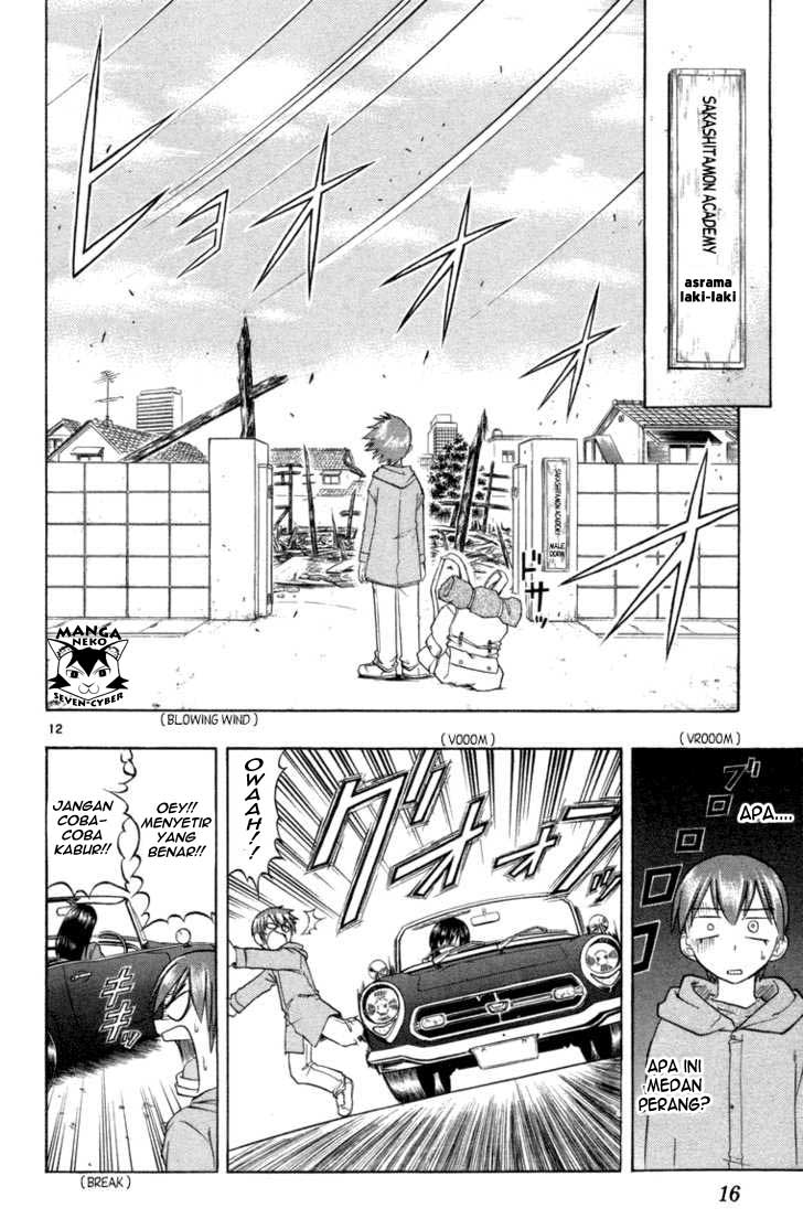 Panel 17