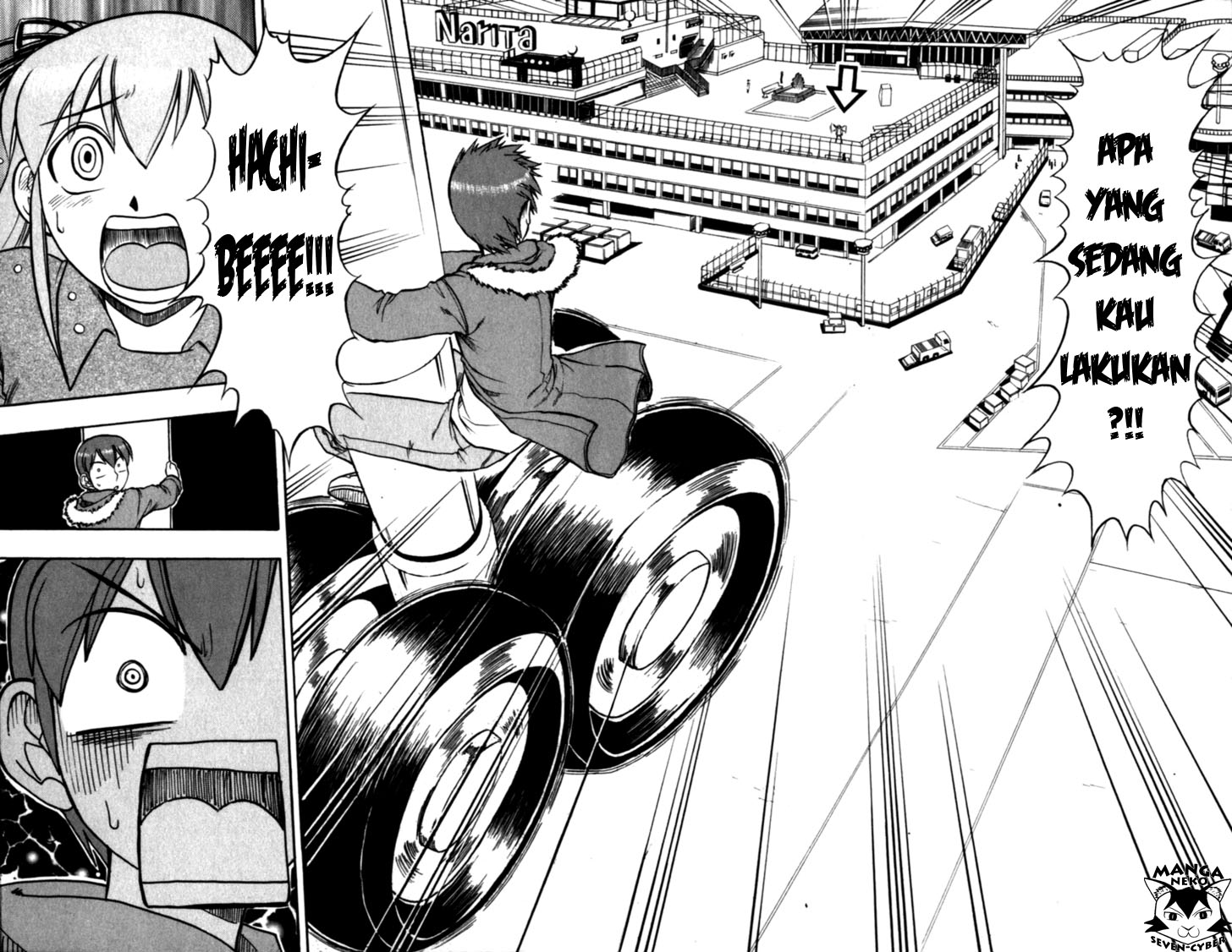 Panel 17