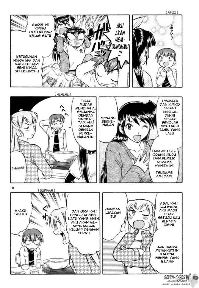 Panel 11