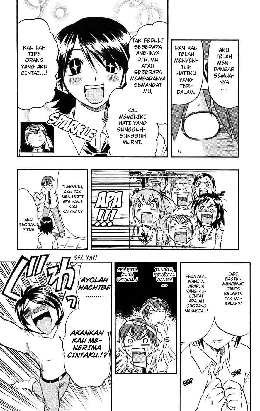 Panel 17