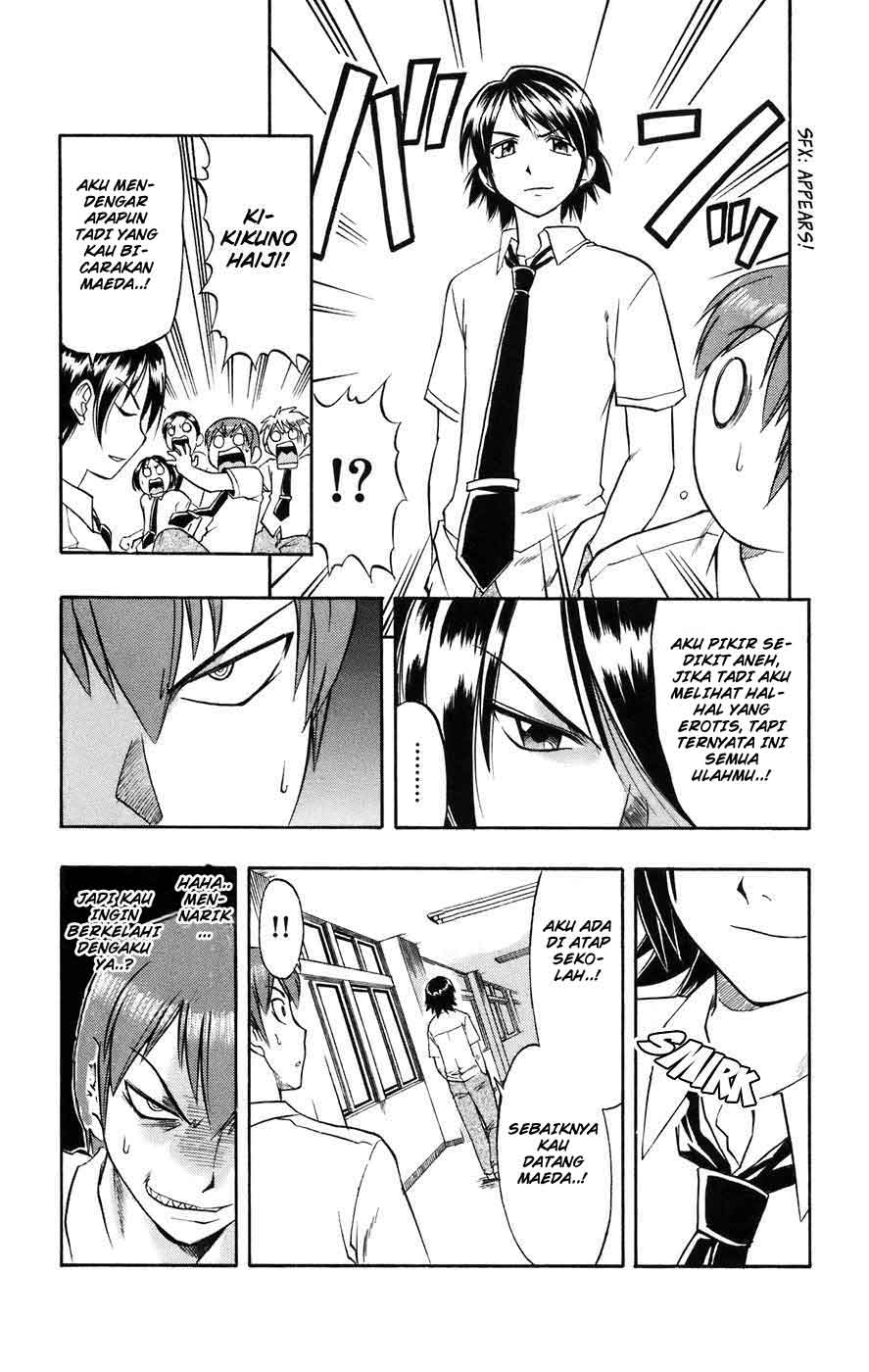 Panel 13