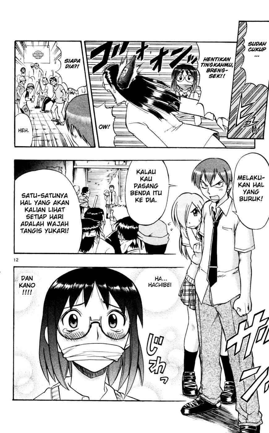 Panel 13