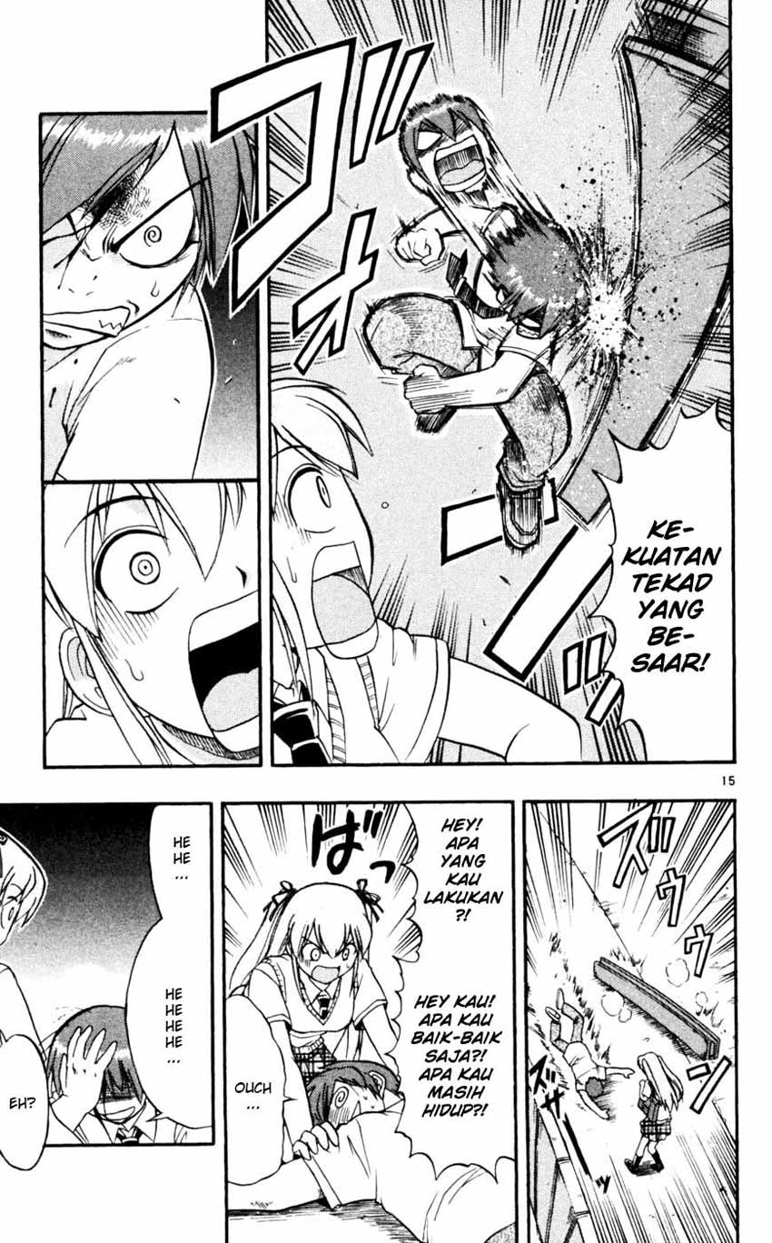 Panel 16
