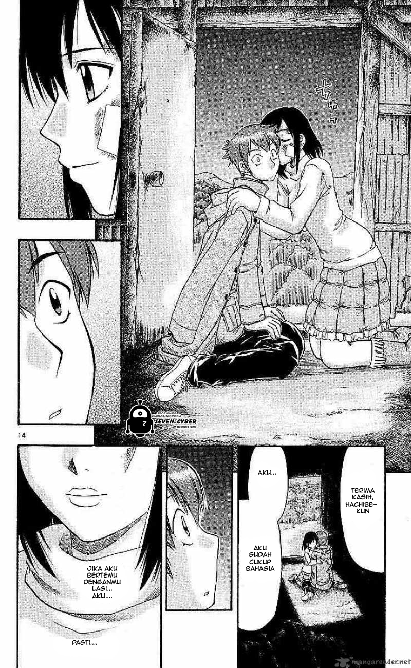 Panel 15