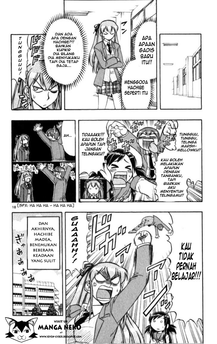 Panel 19