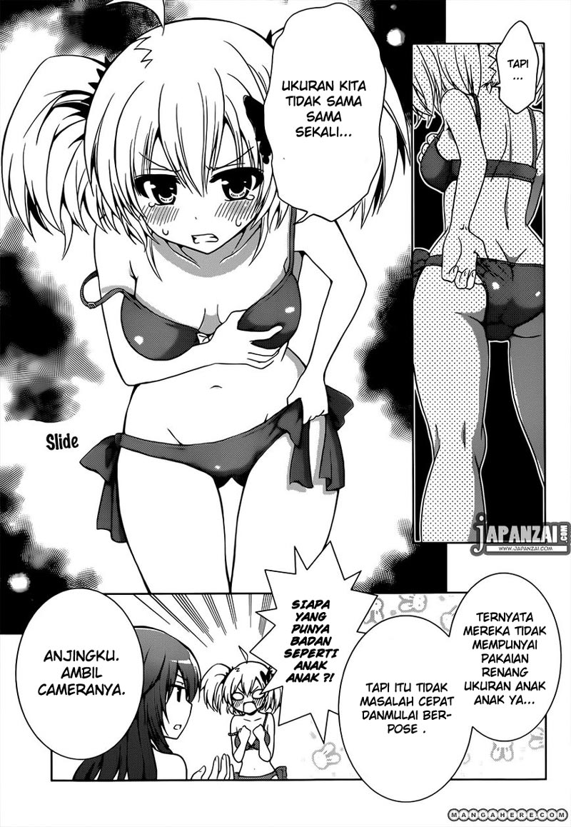 Panel 19
