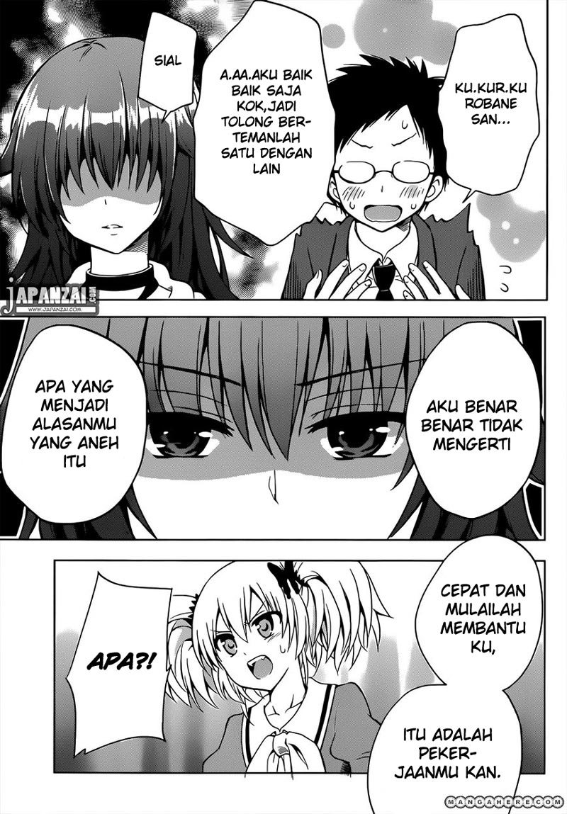Panel 11