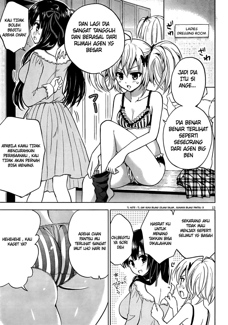 Panel 13