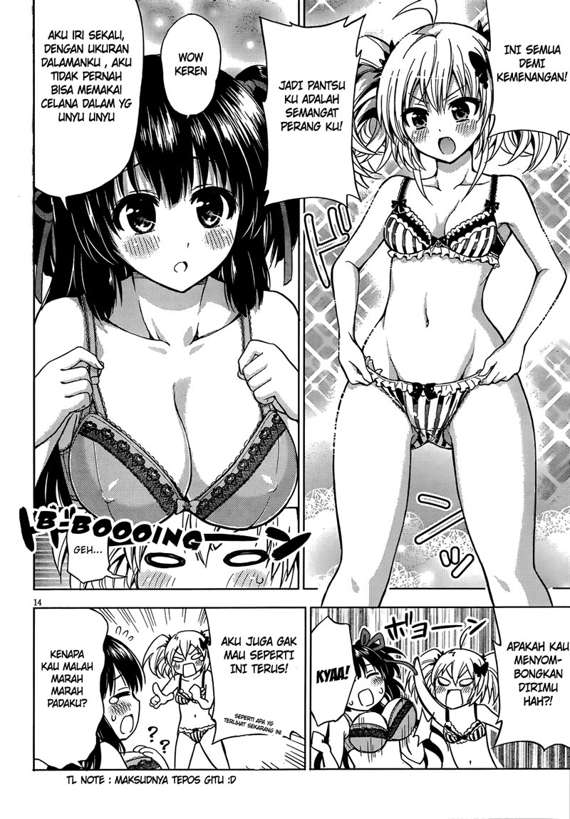 Panel 14
