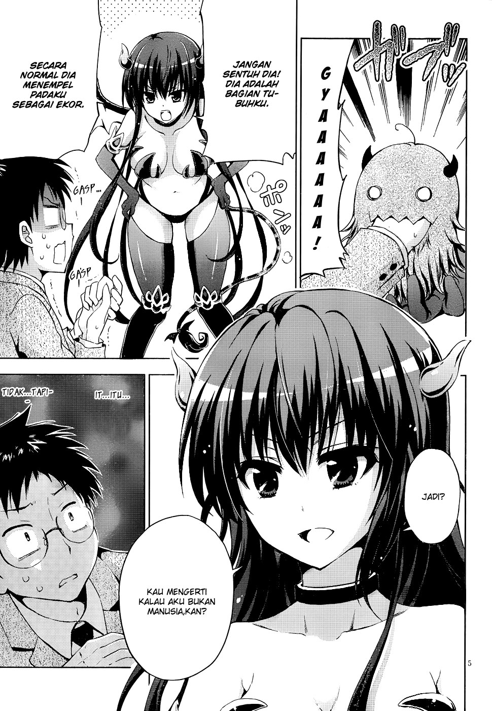 Panel 6
