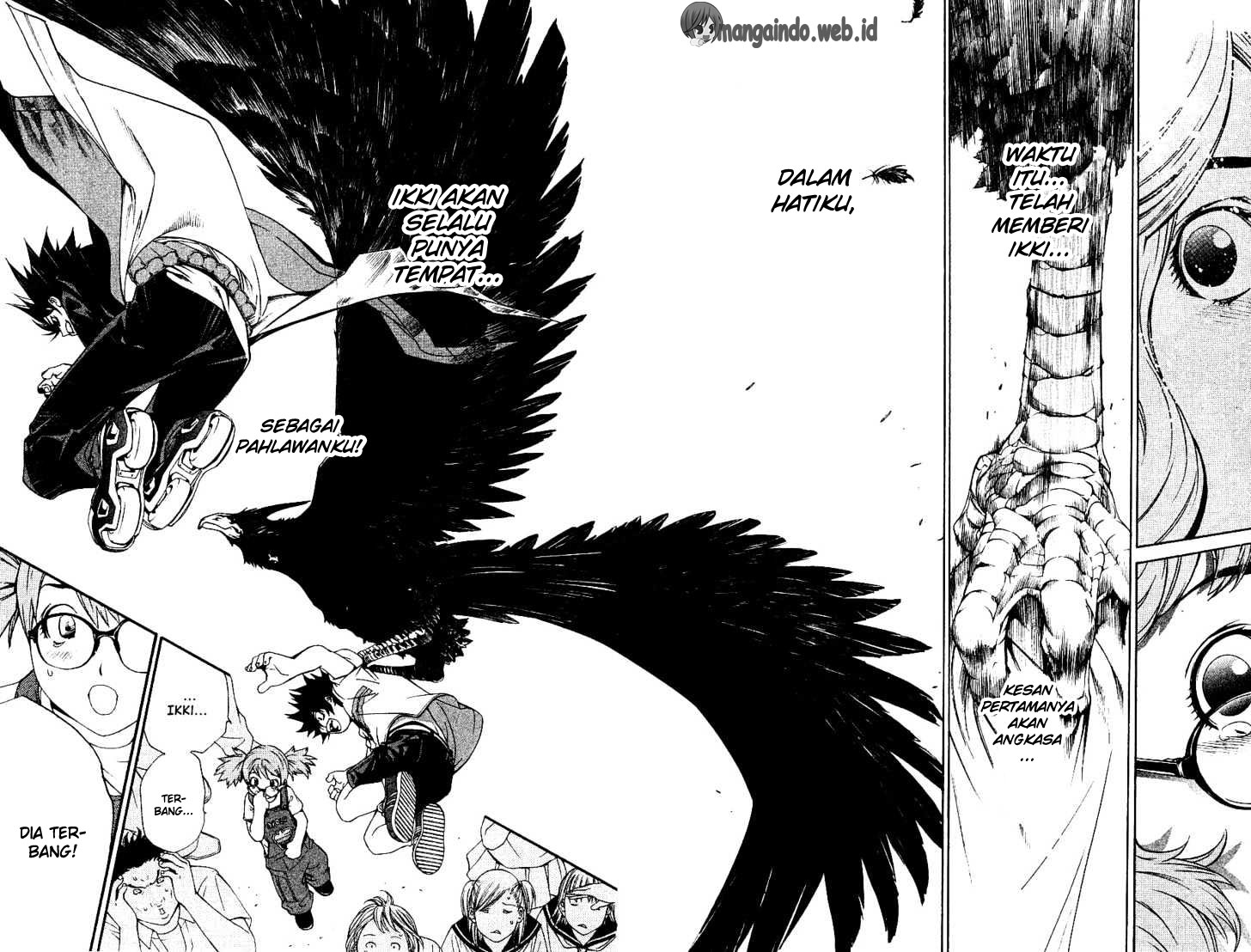 Panel 15