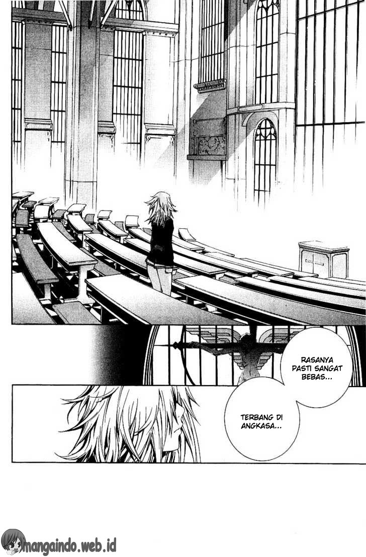 Panel 11