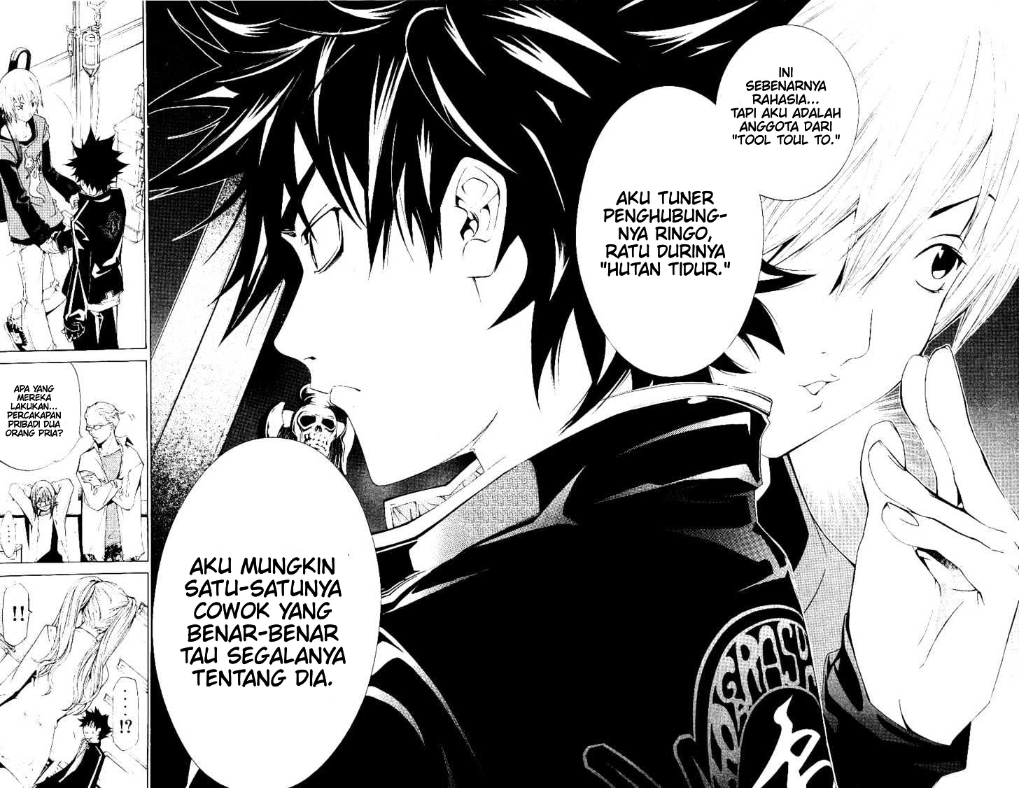 Panel 13