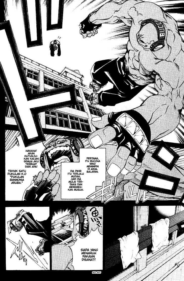 Panel 5