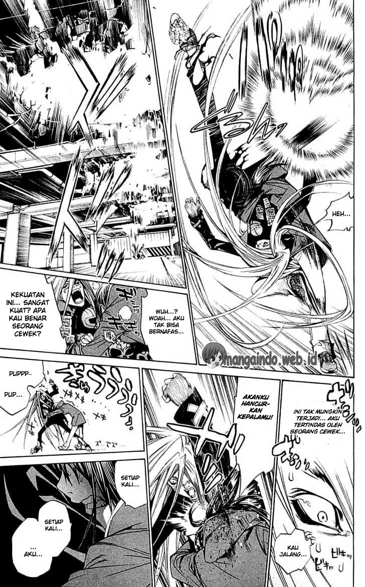 Panel 11