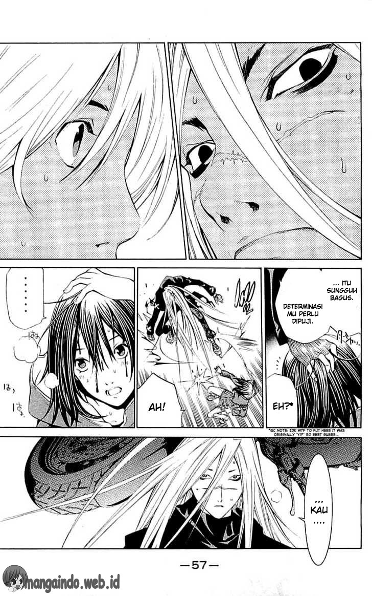 Panel 13