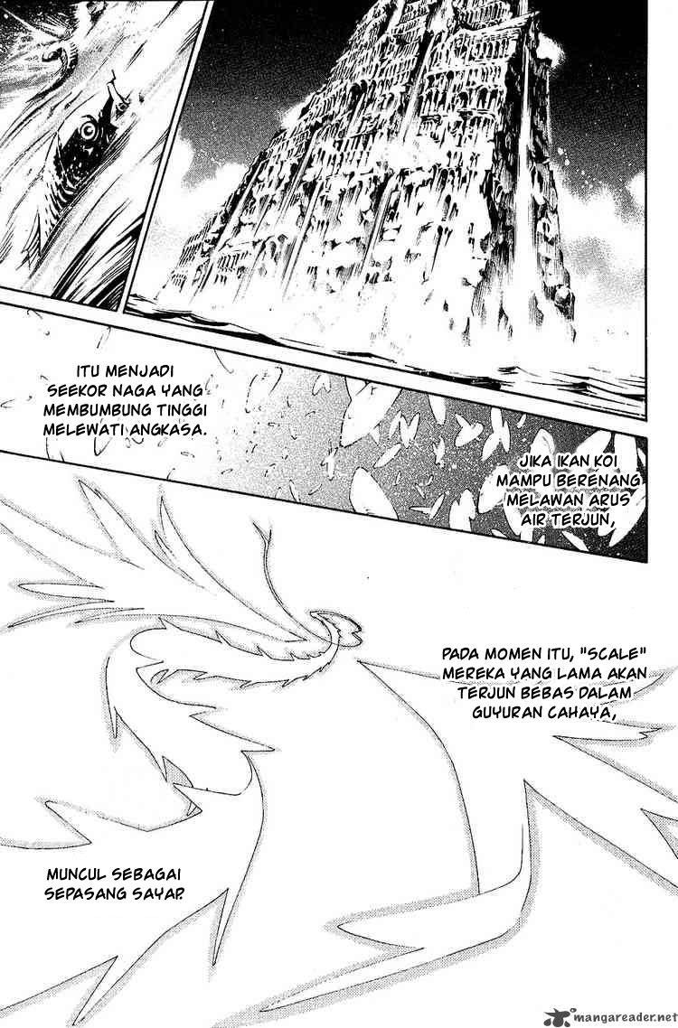 Panel 7