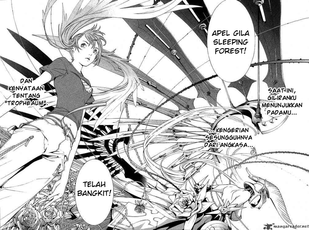 Panel 17