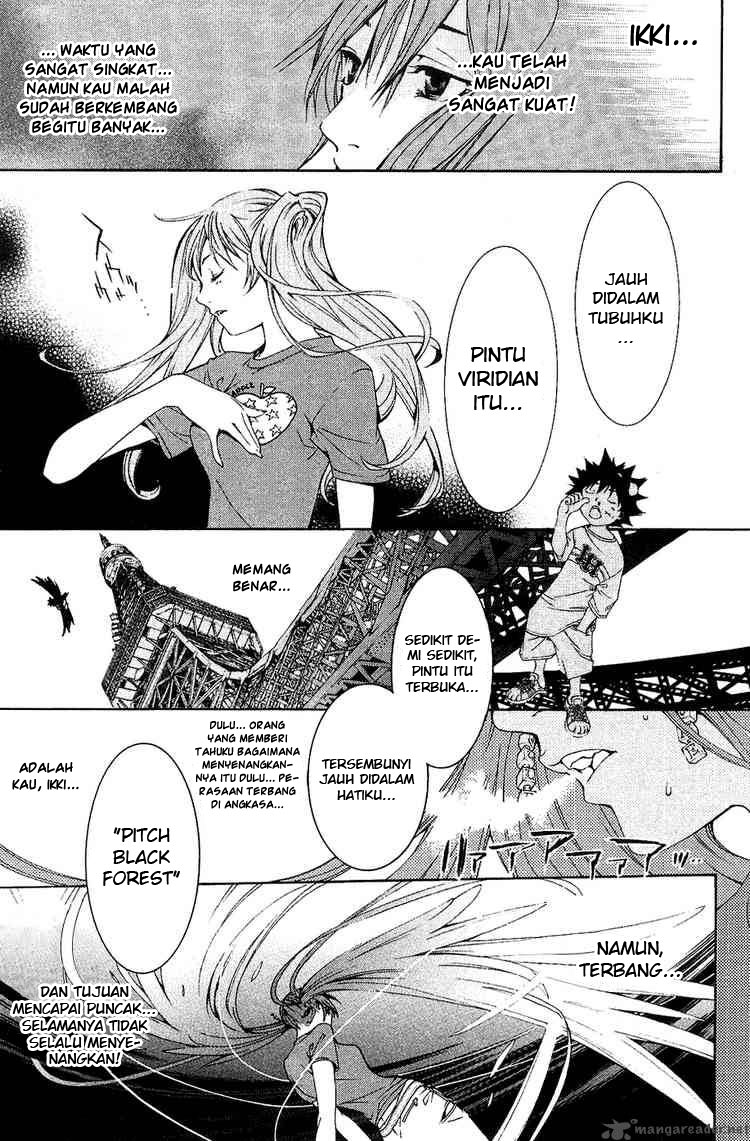 Panel 16