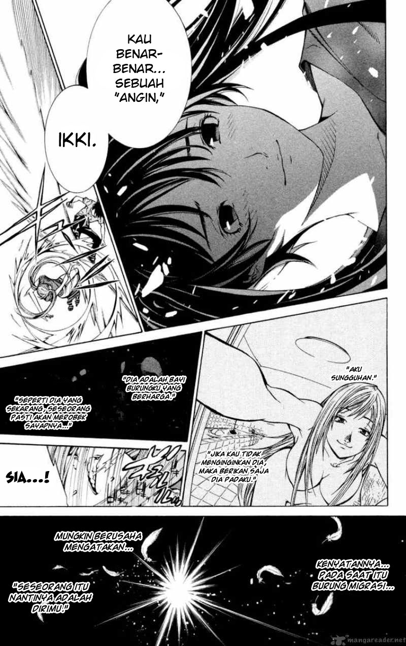 Panel 14