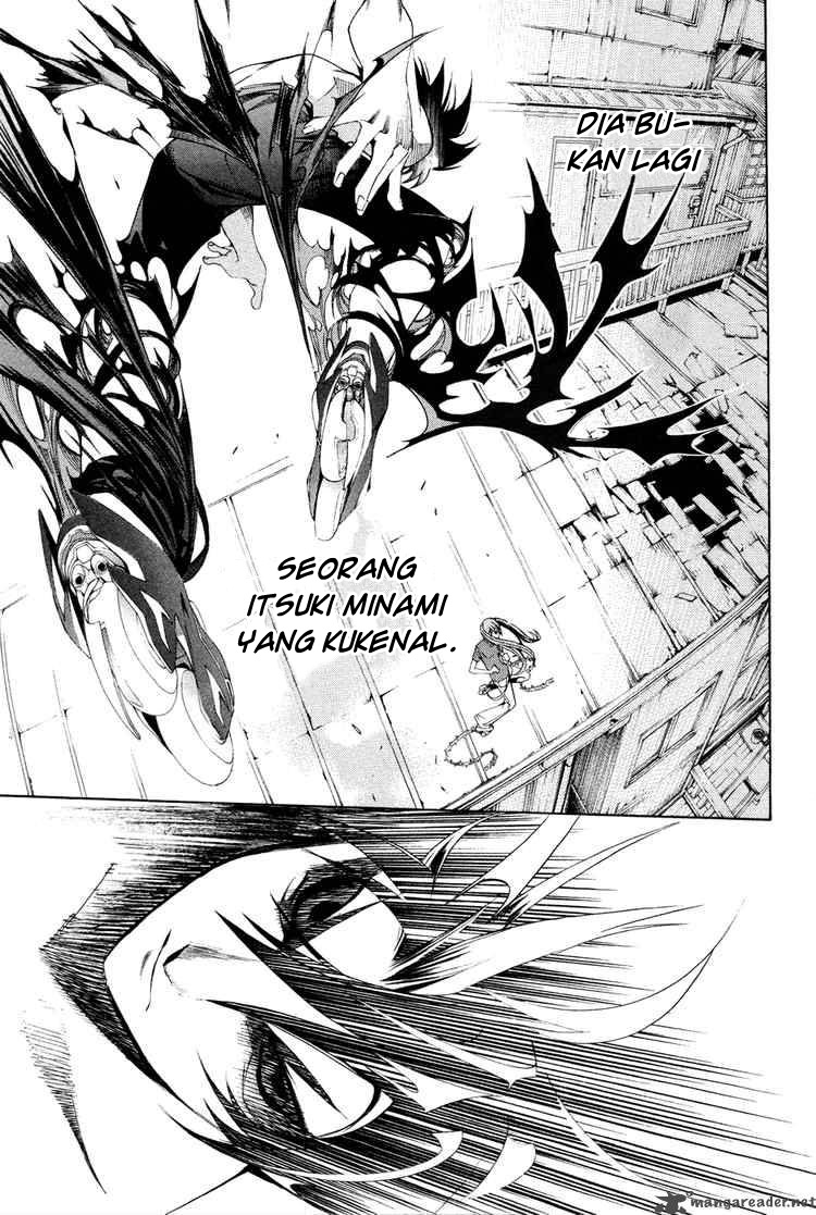 Panel 11