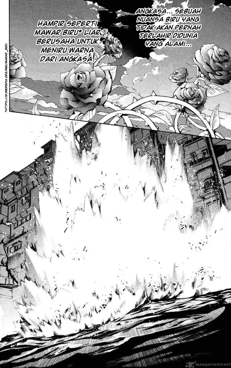 Panel 11