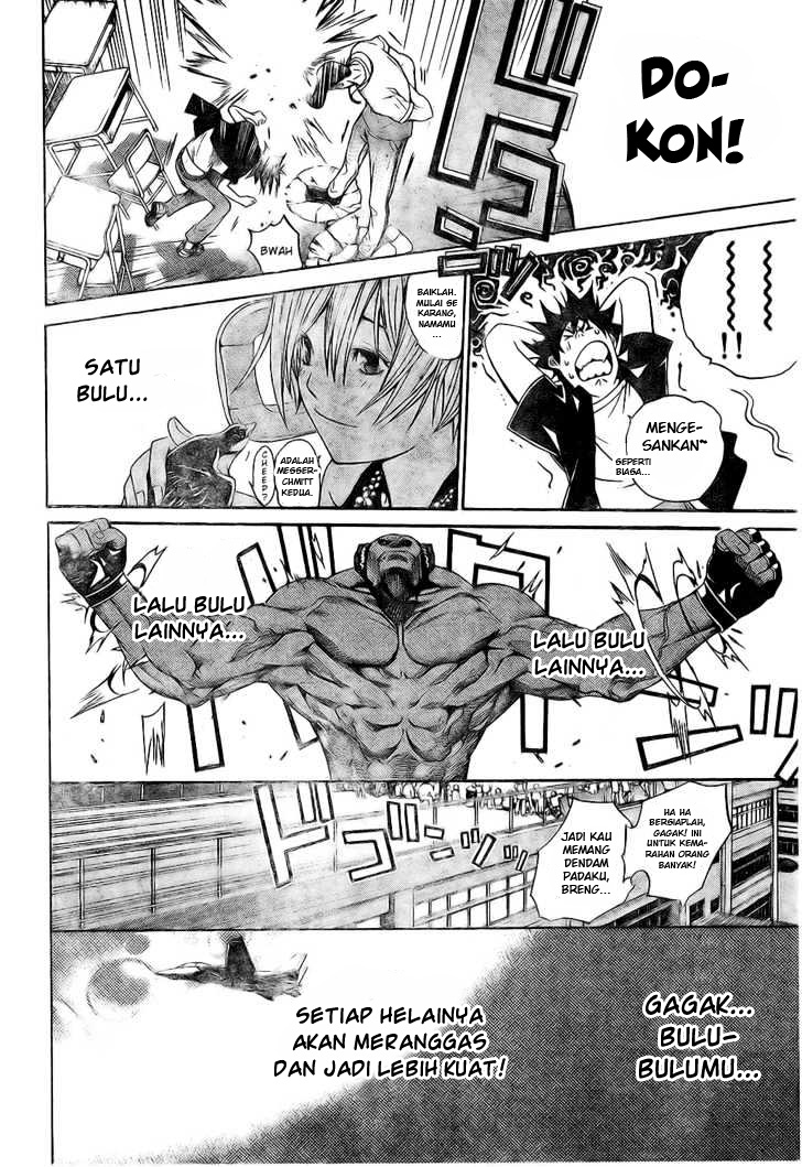 Panel 19
