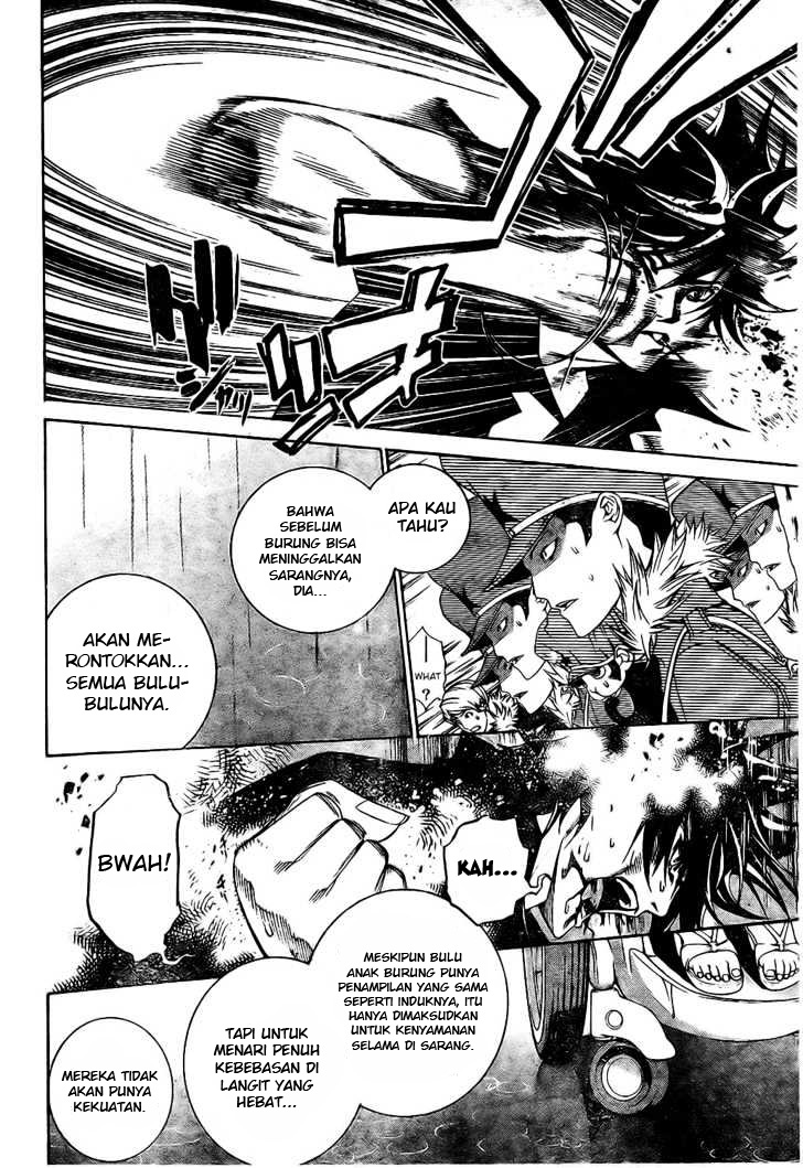 Panel 17