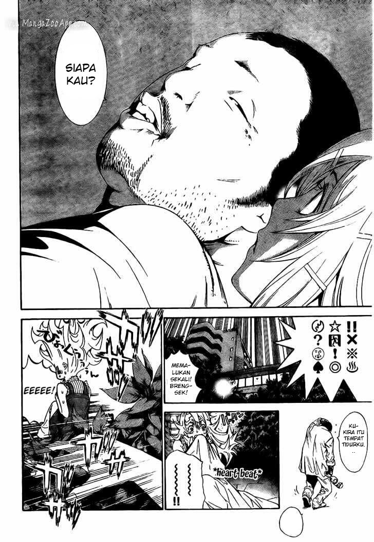 Panel 11