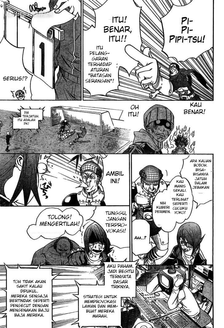 Panel 13