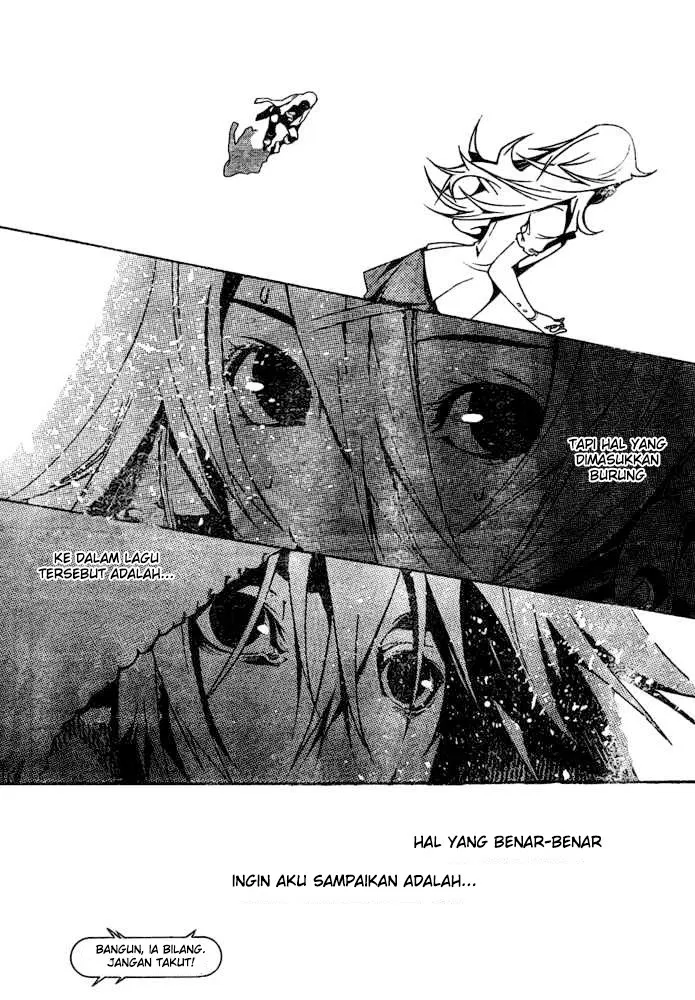 Panel 13