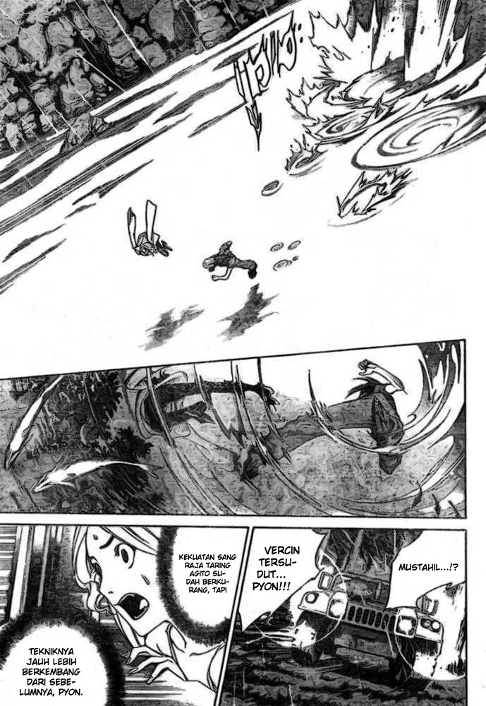 Panel 11