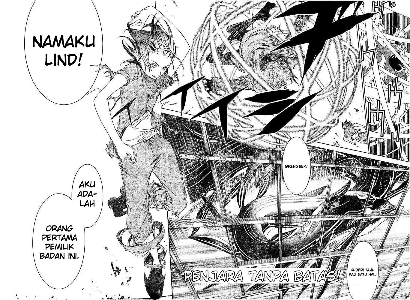 Panel 13