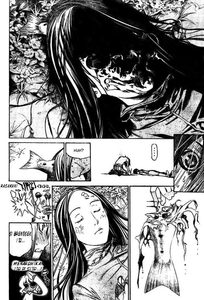 Panel 13