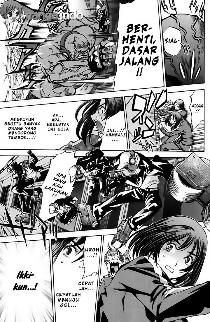 Panel 13