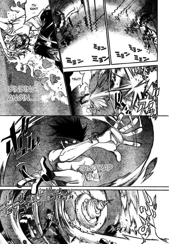 Panel 11