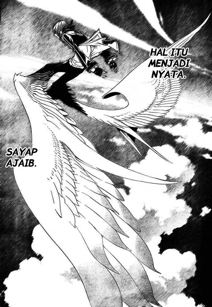 Panel 13