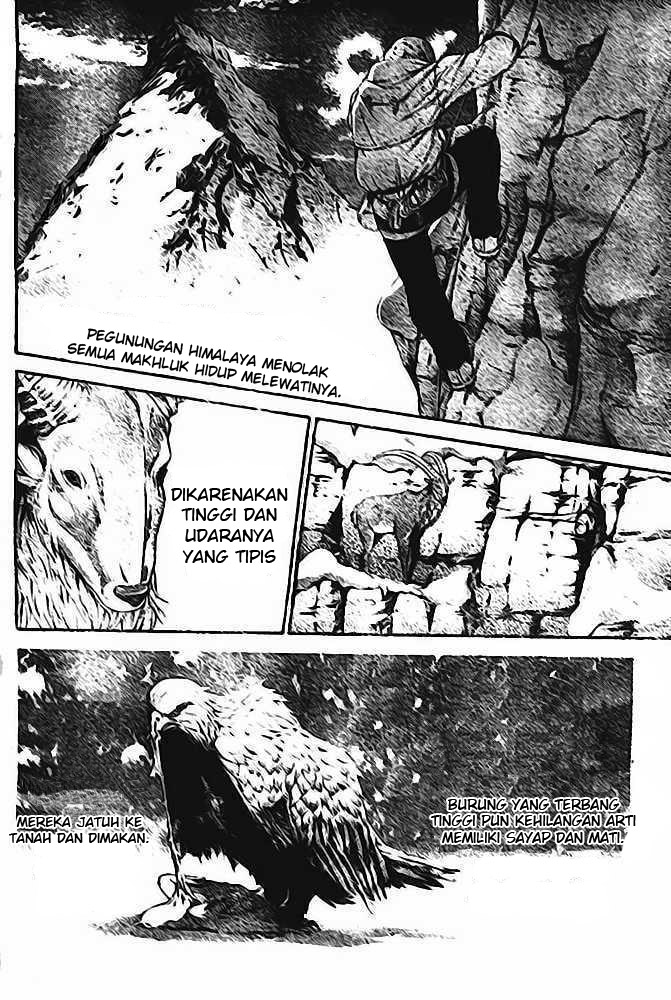 Panel 9