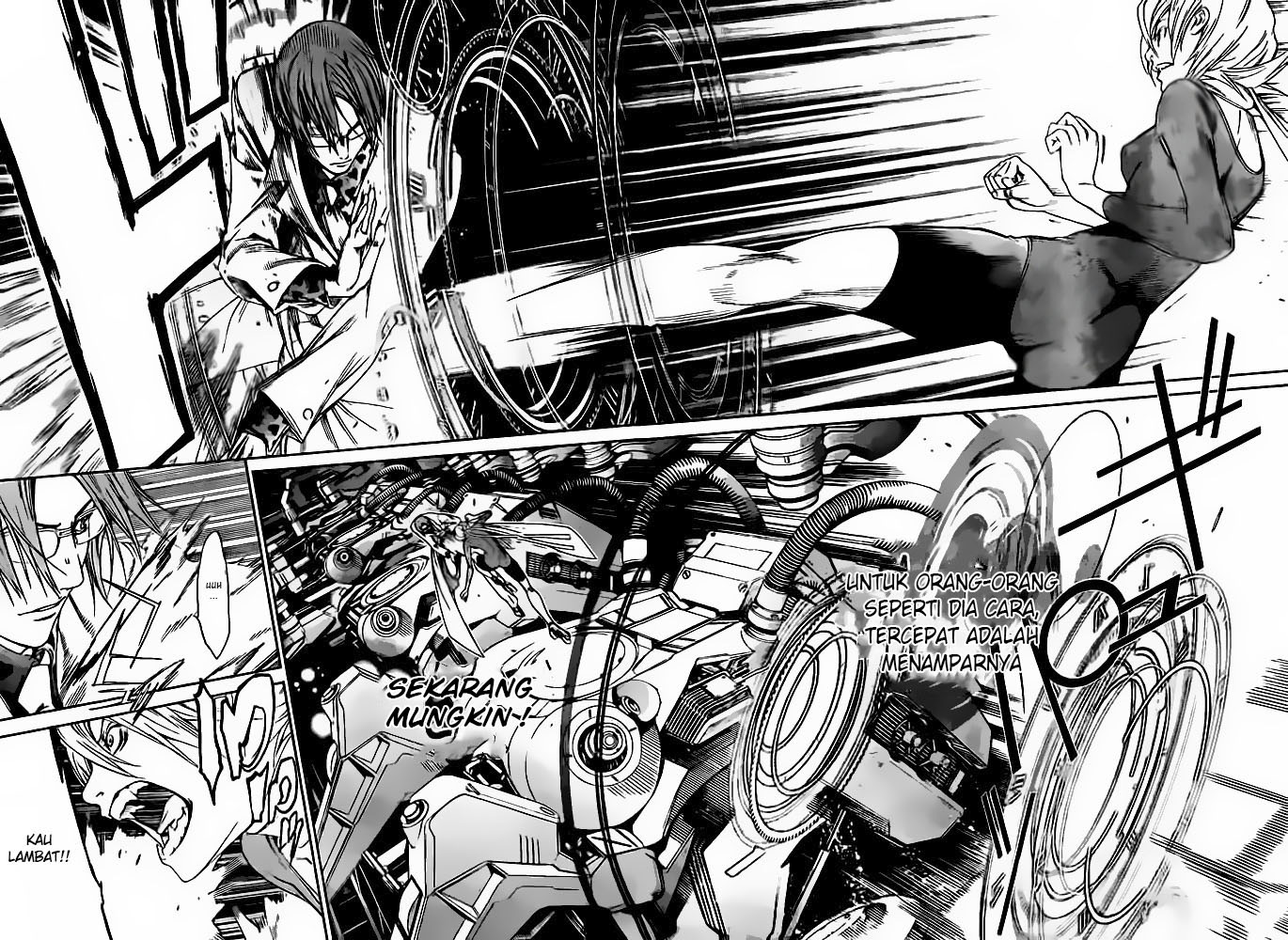 Panel 7