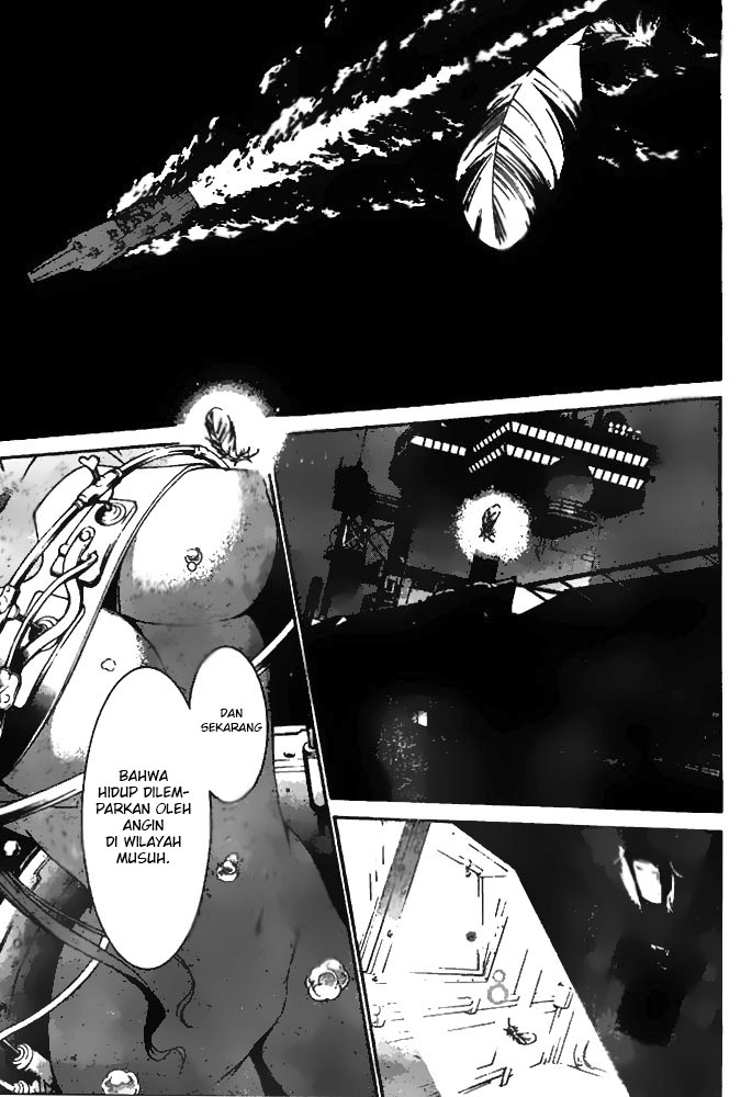 Panel 15