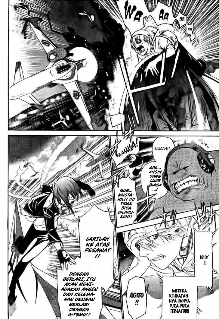 Panel 14