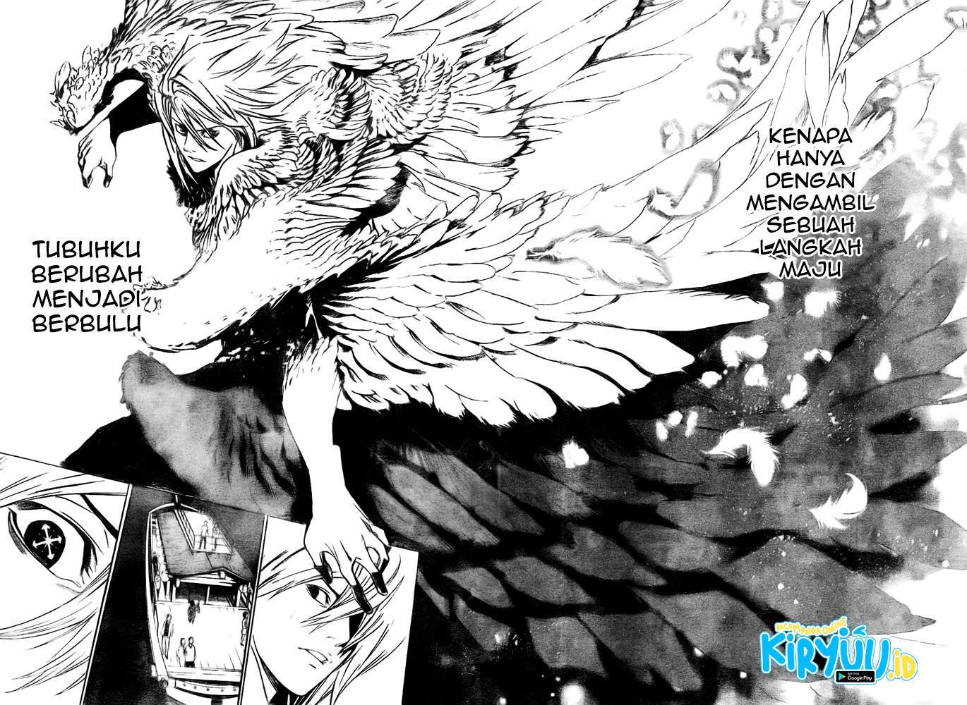 Panel 15